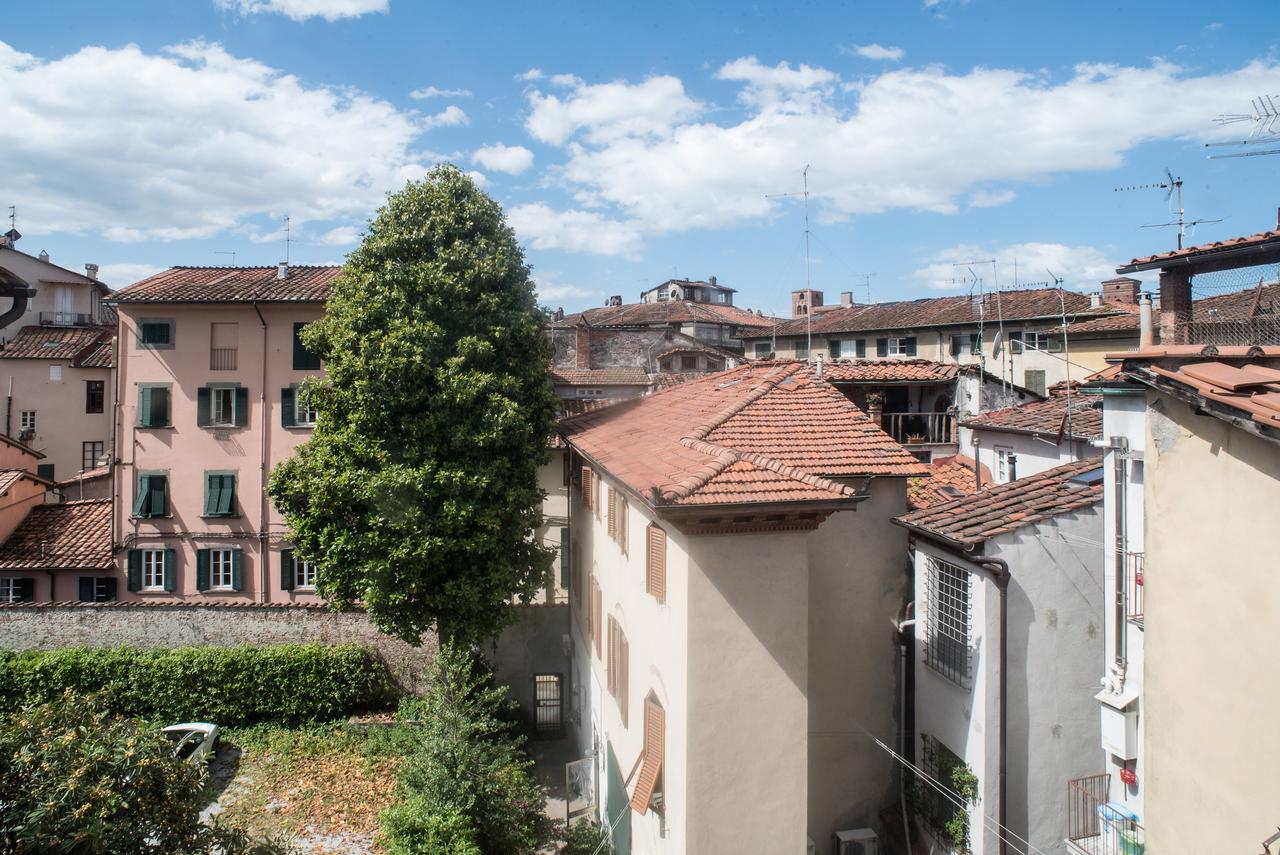 B&B Residenza Di Via Fontana Lucca Exteriör bild